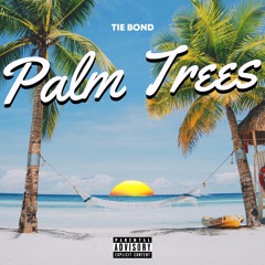 PALM TREES