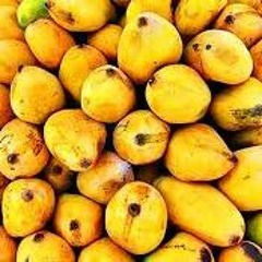 Mango season in Calgary radio clip