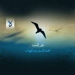 طير المحبة - محمد السيد عبد الوهاب