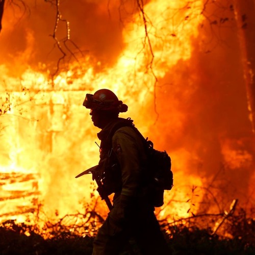 Forest (and forest fire) Management in the Age of Climate Disruption