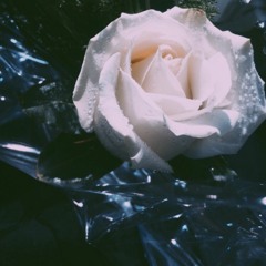 Dedicated Prod. ThatBossEvan