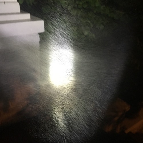 Stream Show 59 by Carolina Soul Records Listen online for free on