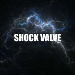 Shock Valve