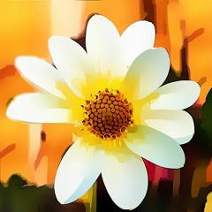 No. 39 - Abraçando a vida como ela é