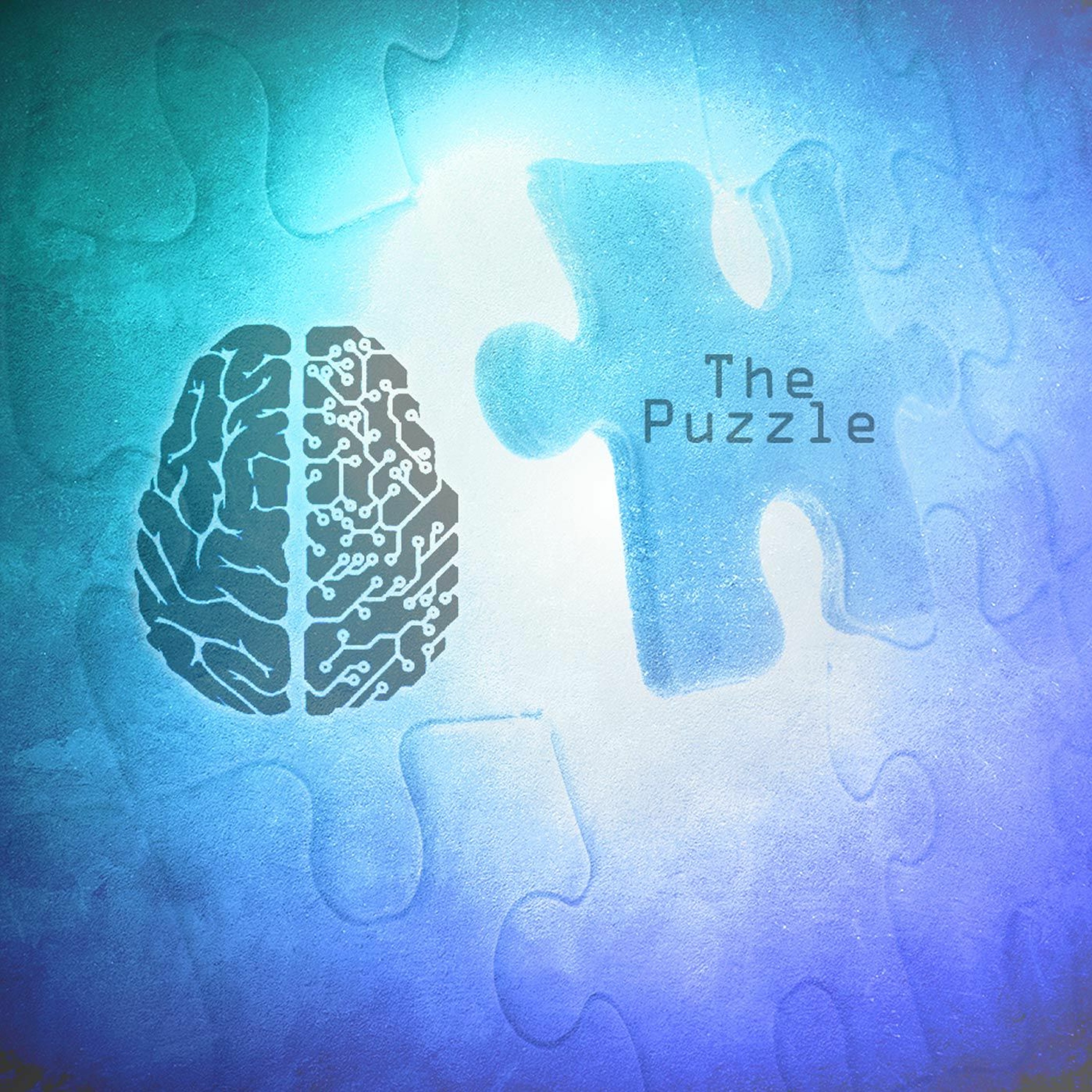 ThePuzzle episode artwork