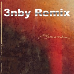 Señorita - Shawn Mendes & Camilla Cabello (3nby Remix)