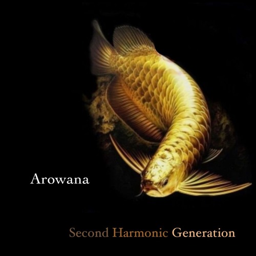 Arowana......... by Second Harmonic Generation ft. lemonade and Mohammed Drioub