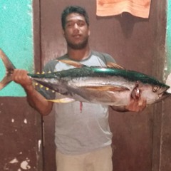 ✌ah_pwisin_tipisin_an_herboy_mesejun_ngnk🤘.mp3