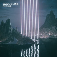 Wavu & Liad - Anything