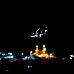 حُسَينُ حَياتي |  المنشد علي حجيج