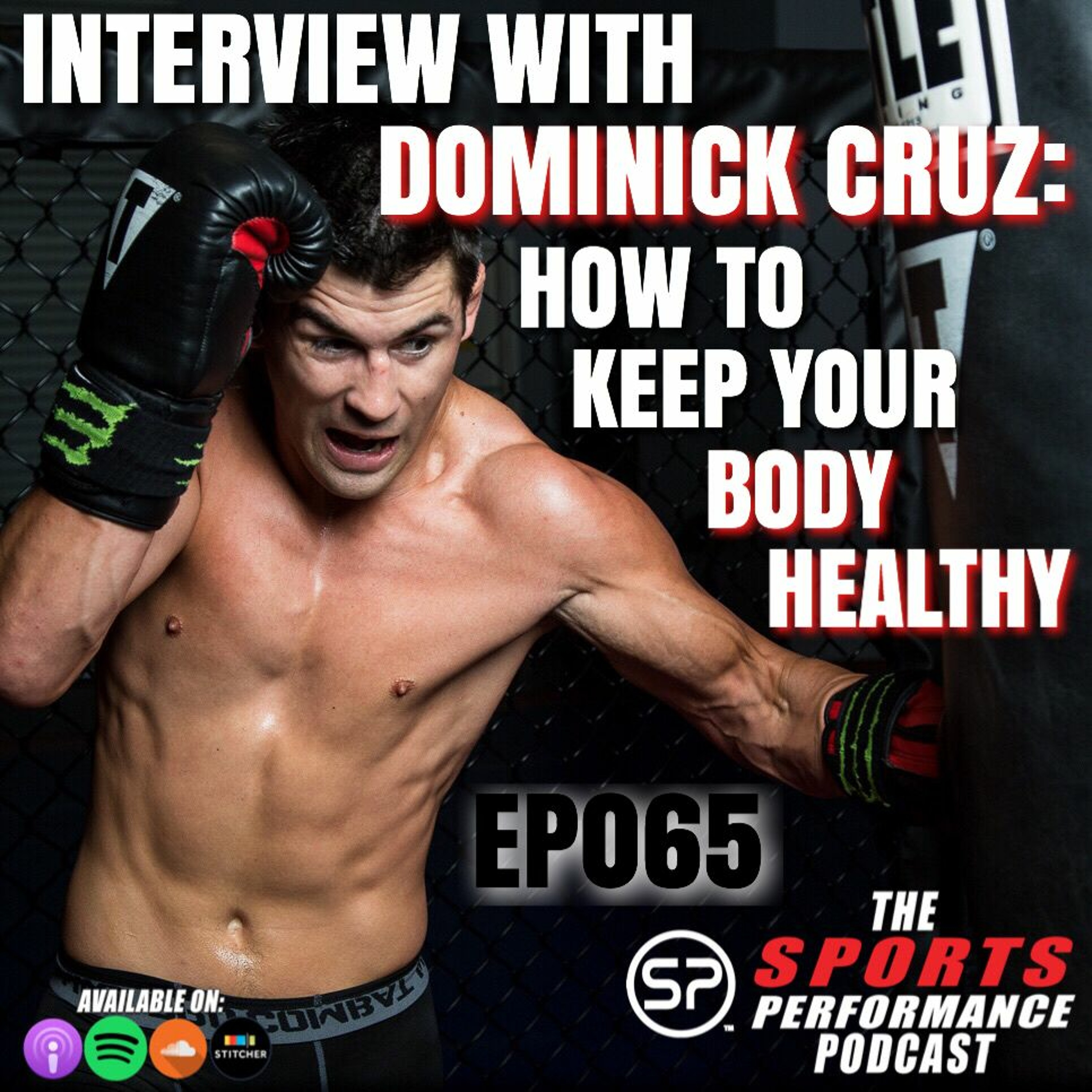 EP065: Interview with Dominick Cruz: How To Keep Your Body Healthy episode artwork