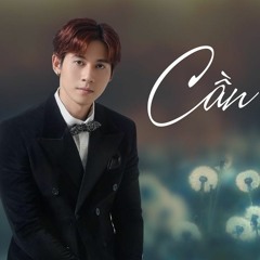 Cần Lắm - Cover By Hoàng Đức Thịnh (Giọng Hát Việt) - [Lyric Video]