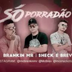 SHECK & BREV E MC BRANKIN MR, FEAT. DANFLIN -  SÓ PORRADÃO