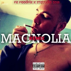 MAGNOLIA REMIX  (playboi carti song) by @rxroodrix x 37 estudio™ >>mercedes,bs.as.