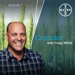 CropCast Episode 7 - June 2019