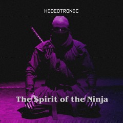 The Spirit Of The Ninja