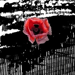 Town And Towers Records - Signed bands on Sound Cloud