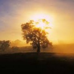 StiLL J - The Light Here (2016)