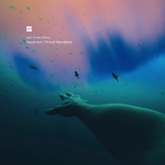 PREMIERE: Kpsh — Aquanaut (Original Mix) [spclnch]