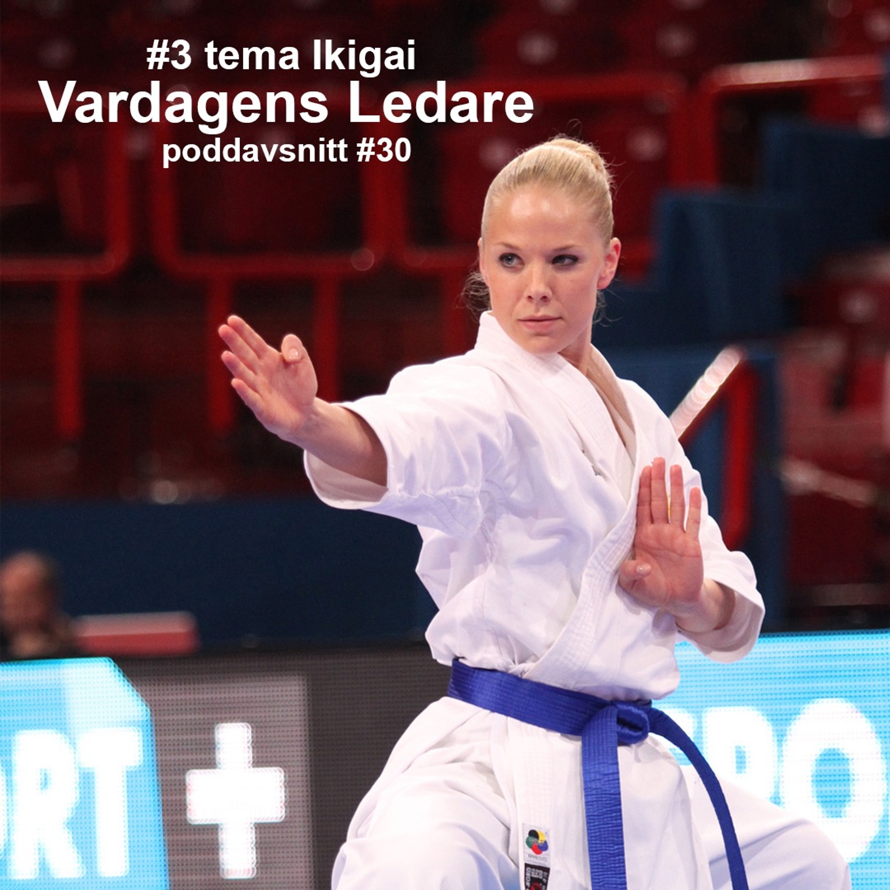 Vardagens Ledare