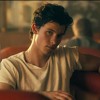 Shawn Mendes And Camila Cabello __ Señorita Mp3