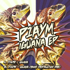 Iguana