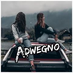 Ed Sheeran & Justin Bieber - I Dont Care (Adwegno Hardstyle Remix)
