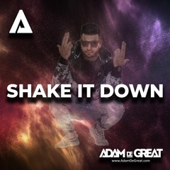 Shake It Down (Original Mix)