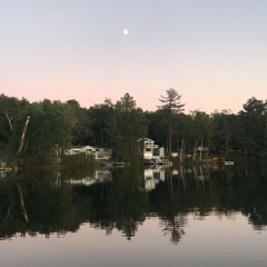 Dock Party