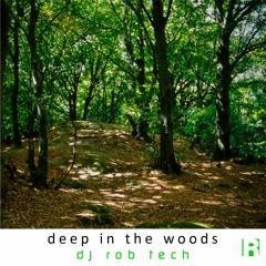 DJ Rob Tech - Deep in the Woods