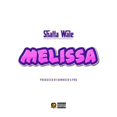 Shatta wale - Melissa (Prod by PaQ & Mixed by Da Maker).mp3