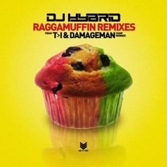 Premiere: DJ Hybrid 'Raggamuffin' T>I Remix [Natty Dub Recordings]