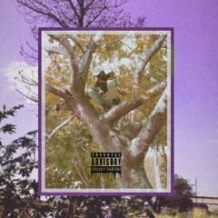 10- RE$PECT (Feat. AL BVMBINO)