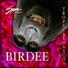Spa In Disco - Tropical Disco #019 - BIRDEE