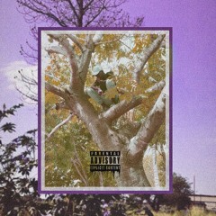 08- Pretty Bad Girl (Prod. NECY)