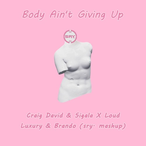 Body Ain't Givin' Up (Craig David & Sigala X Loud Luxury & Brando) [sry. Mashup]