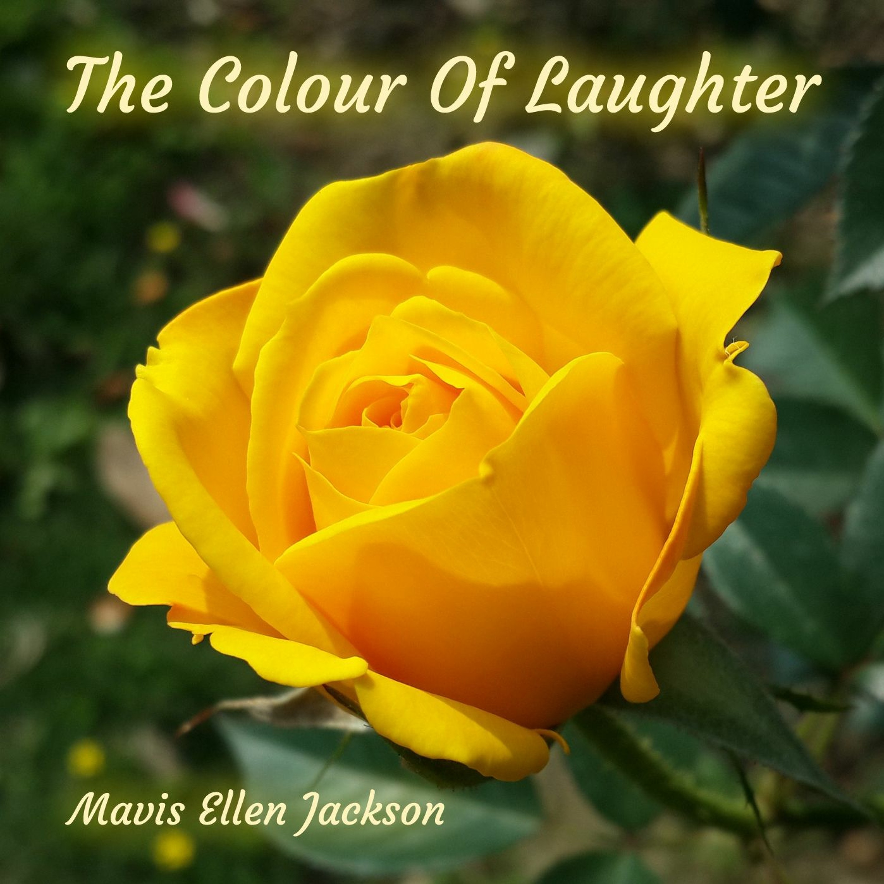 MavisEllen Jackson