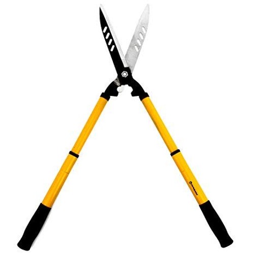 hedgeclippers