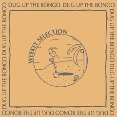 Weekly selection ( house / post-disco / afrobeat / breaks)