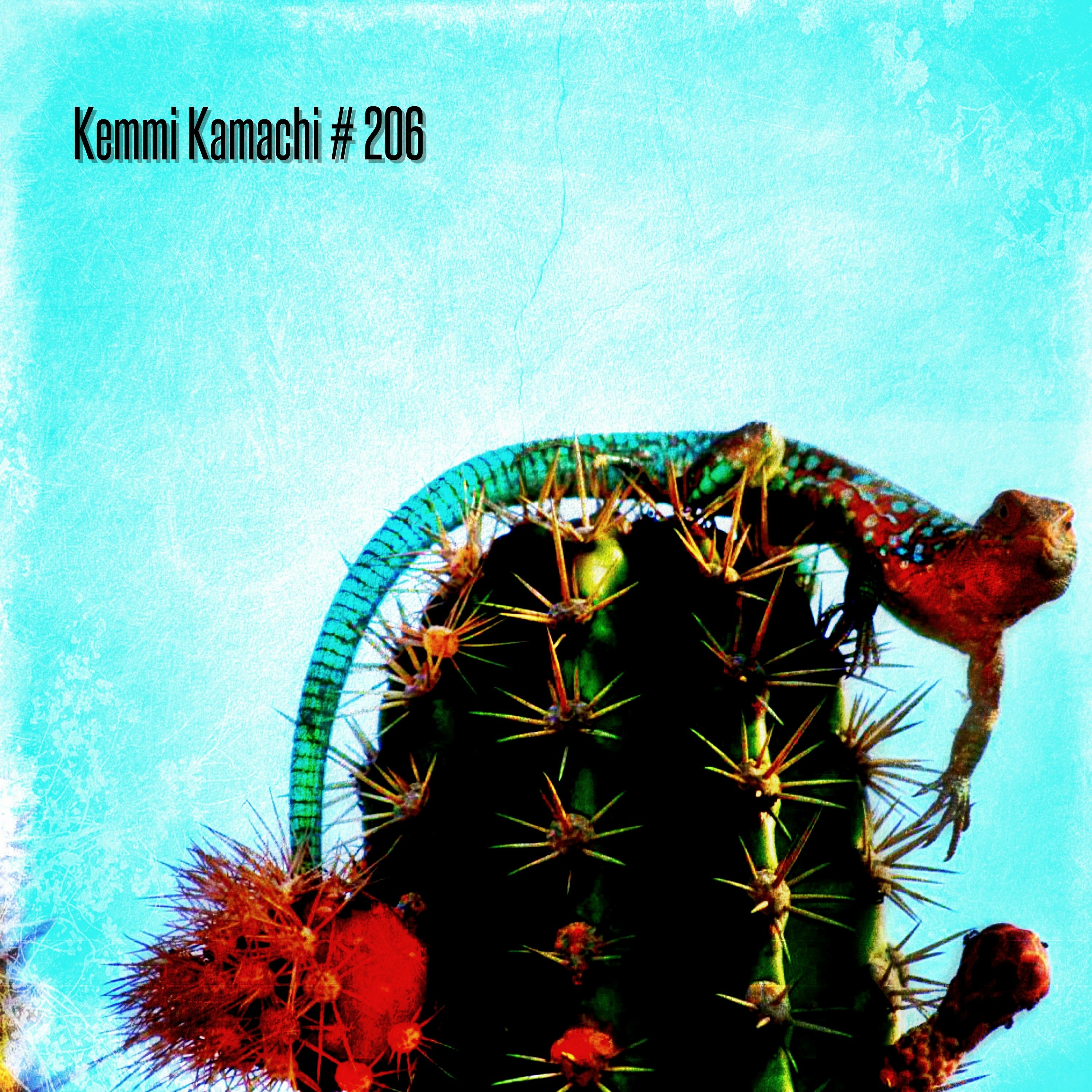 Kemmi Kamachi