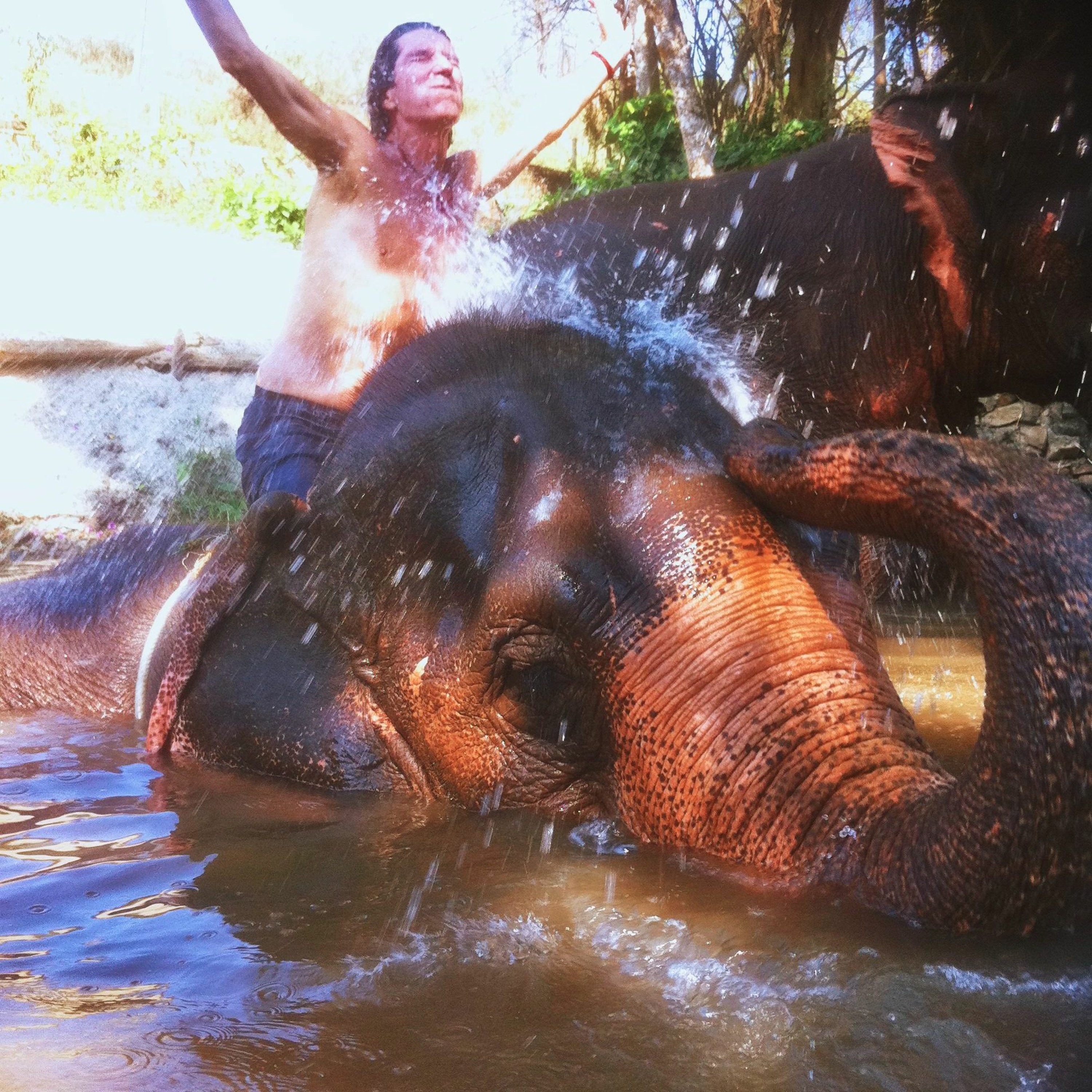 Sean Coleman -Lately written