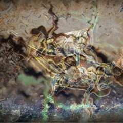 Crickets (also known as "true crickets")