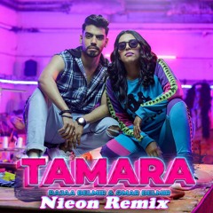 Rajaa Belmir & Omar Belmir - Tamara (Nieon Remix)