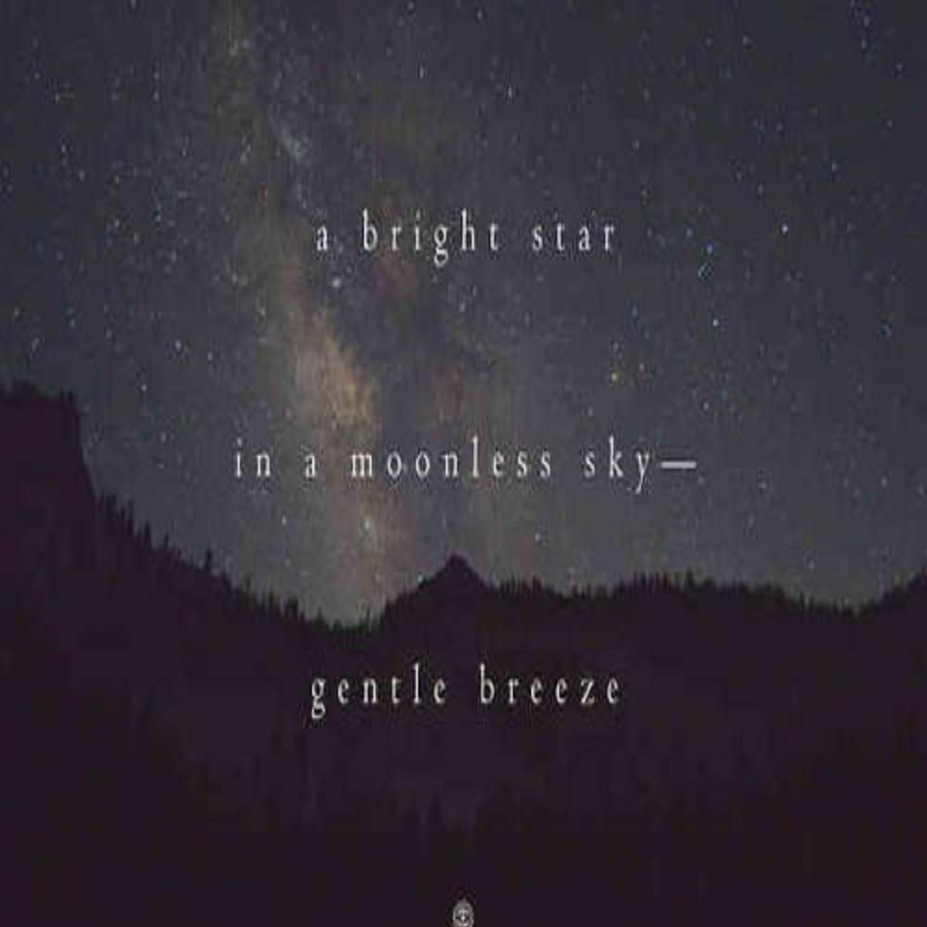 A Bright Star In A Moonless Sky (Naviarhaiku 287) episode artwork