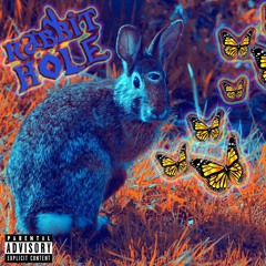 Rabbit Hole 🐇 🕳 - Trippy Jxsh x Blackpope