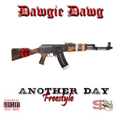 ANOTHER DAY FREESTYLE