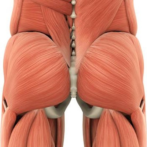 THEBUTT