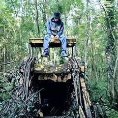 Average Joe - Some Kind Of Animal  (Produced By Tokalah)
