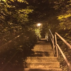 Fusion / Funk / Soul