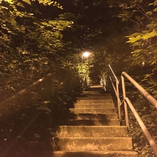 Fusion / Funk / Soul